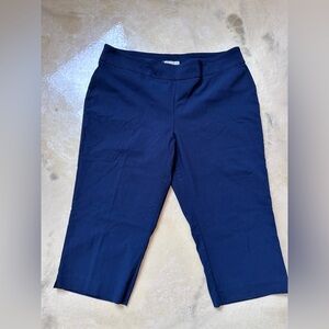 Dana Buchman Navy Bermuda Shorts XL Classic Summer